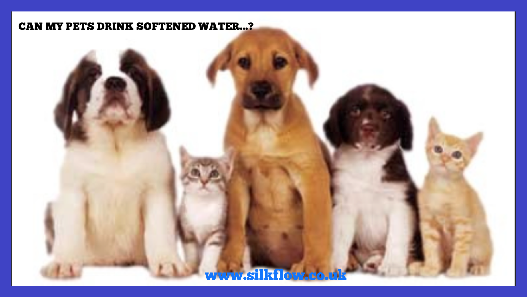 IS IT SAFE FOR MY PETS TO DRINK SOFTENED WATER Silkflow